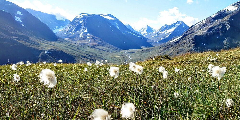 Foto: Ingeborg Mjanger